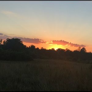 Meet your Posher, Jacqualine